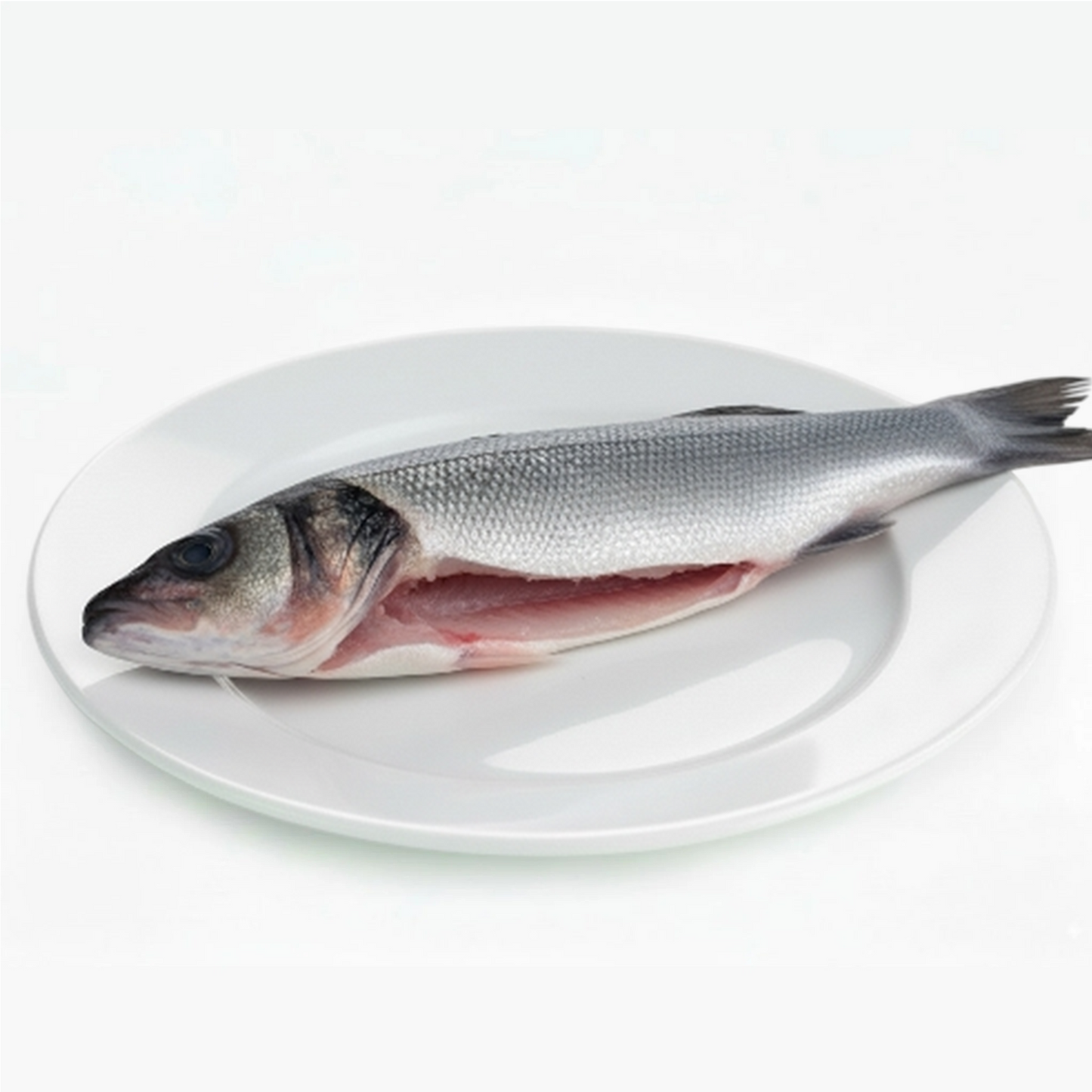 BRANZINO EVISCERATO