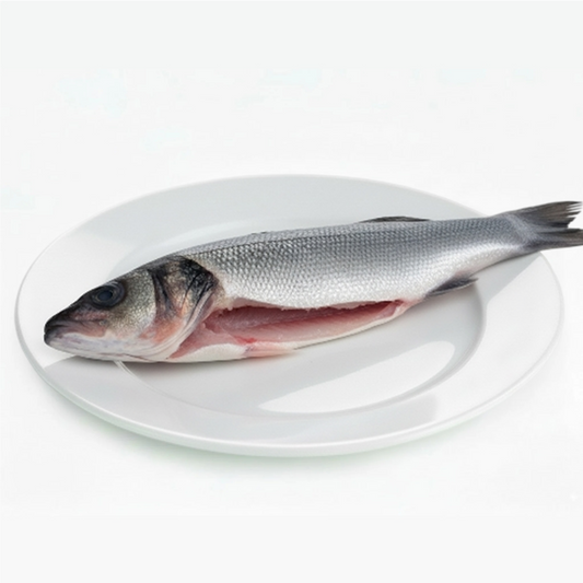 BRANZINO EVISCERATO